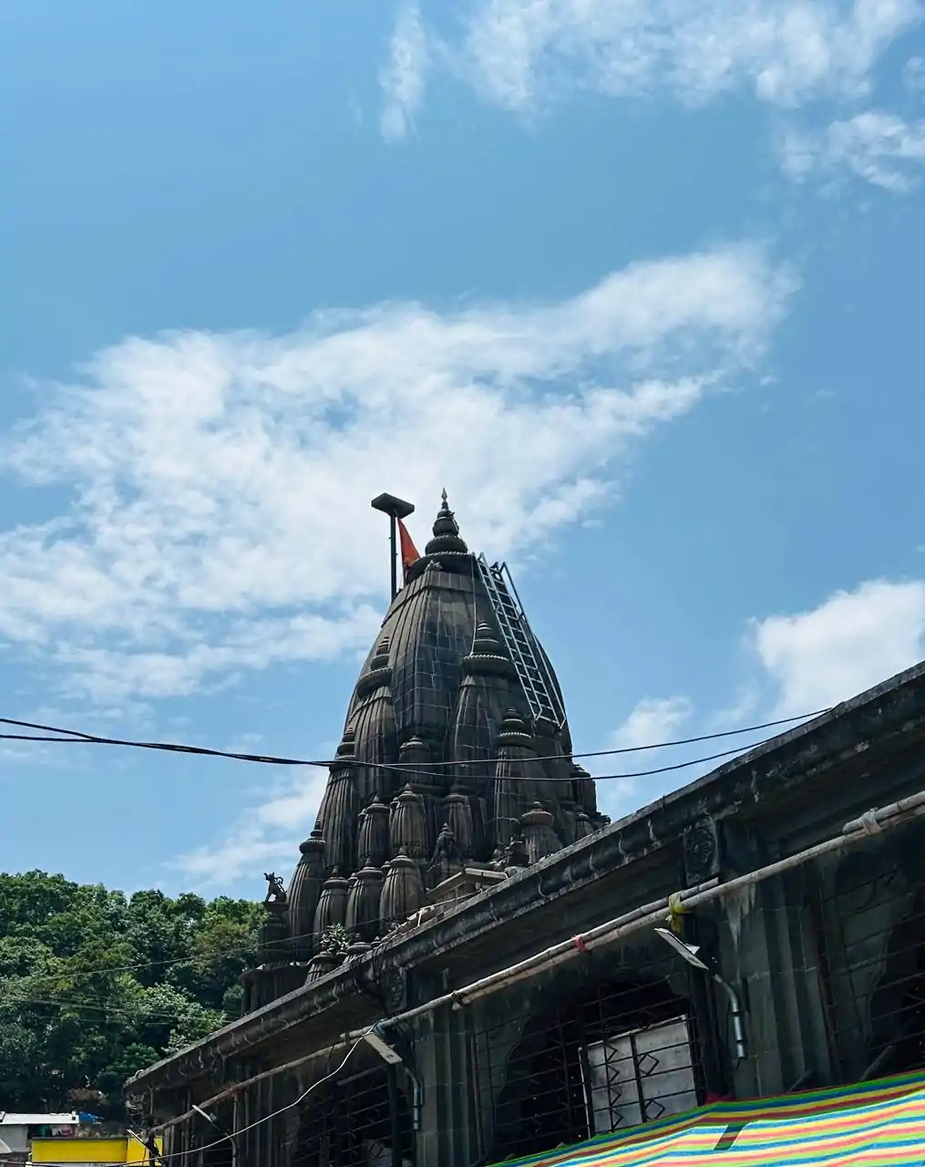 Bhimashankar: Escape to Serenity! Darshan & Trekking at the 6th Jyotirlinga amidst the Sahyadri Hills.